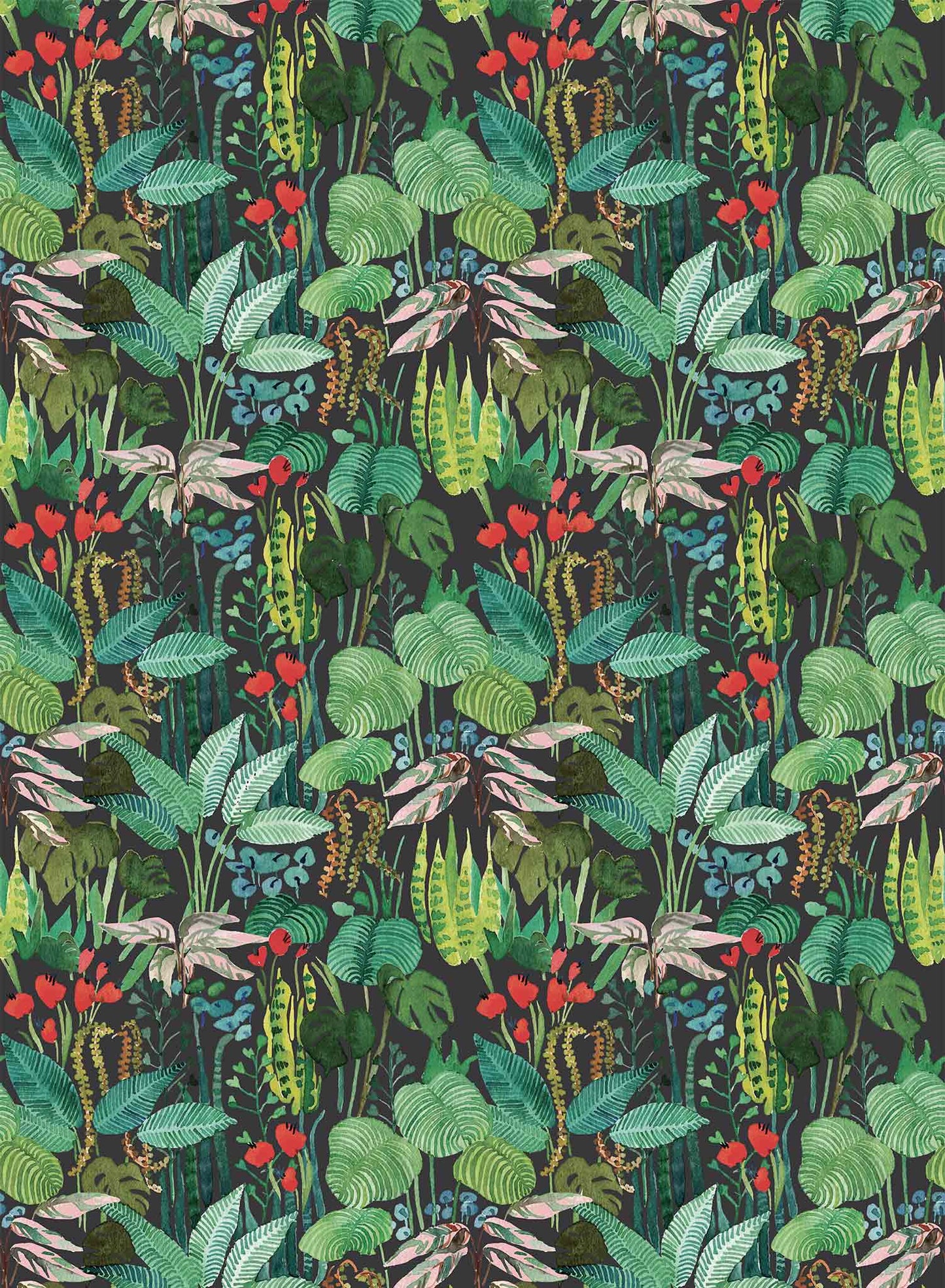 Rynx | Tropicalia, Wallpaper