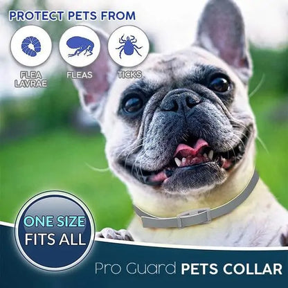 Rynx | Pro Guard Flea and Tick Pet Collar