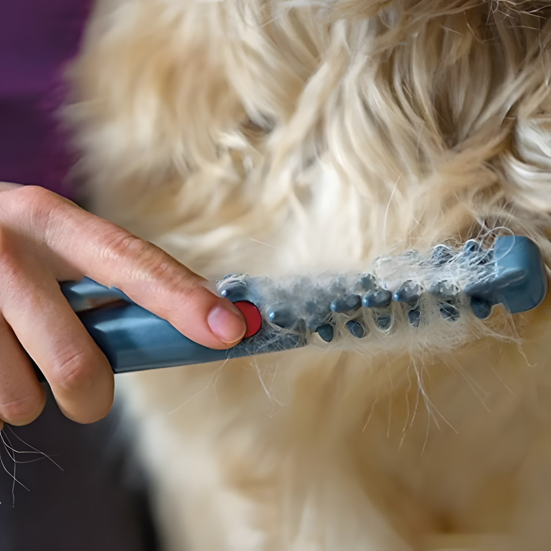 RYNX | No More Knots And Tangles For Your Pet