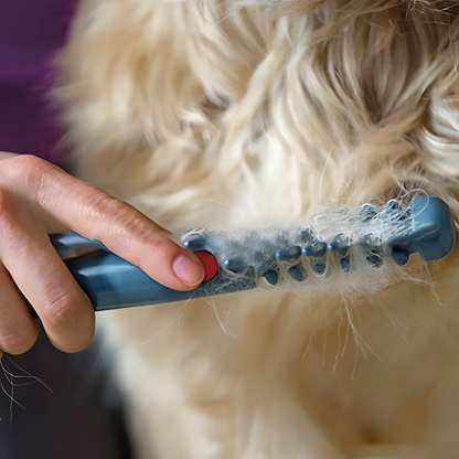 RYNX | No More Knots And Tangles For Your Pet