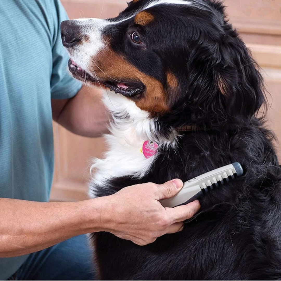 RYNX | No More Knots And Tangles For Your Pet