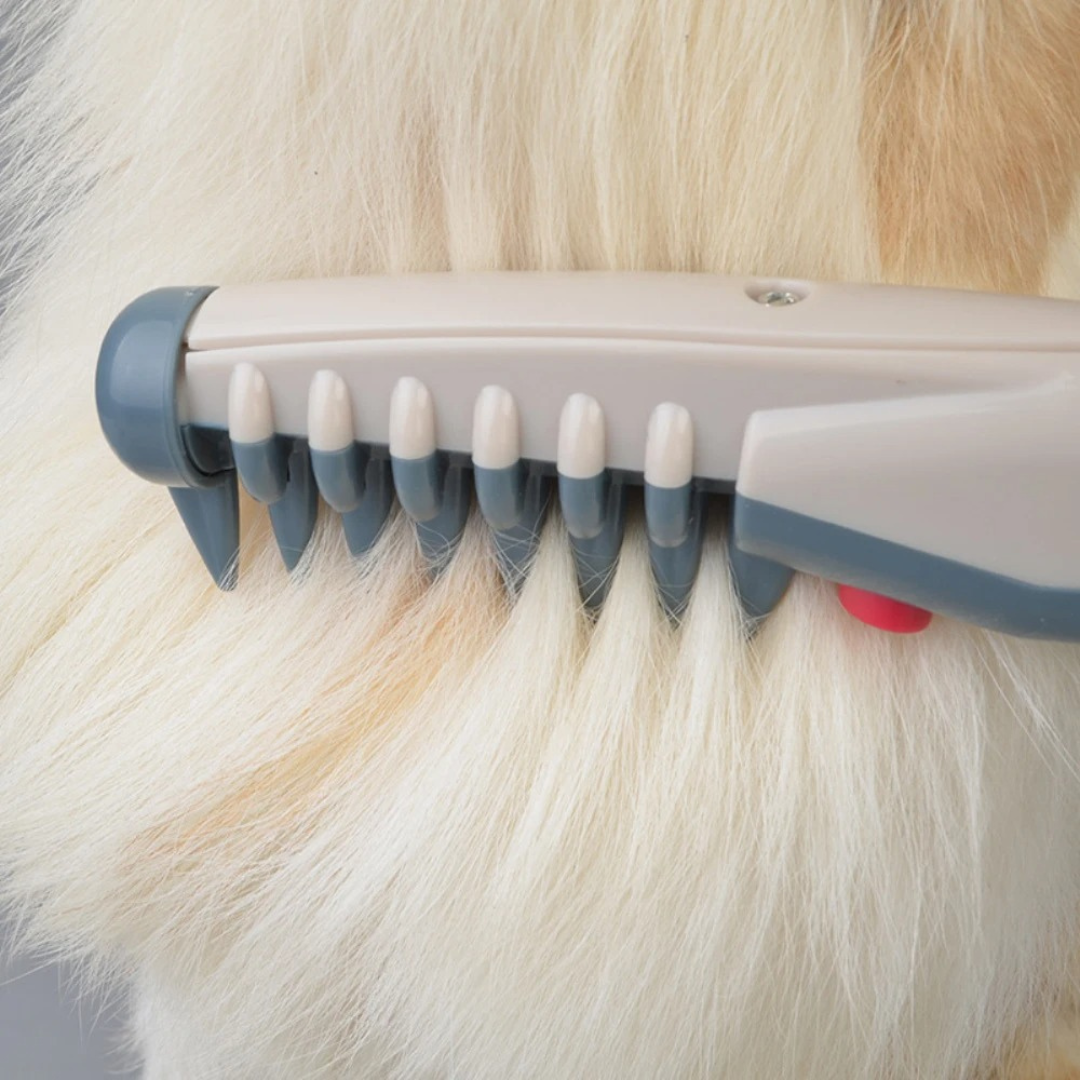 RYNX | No More Knots And Tangles For Your Pet