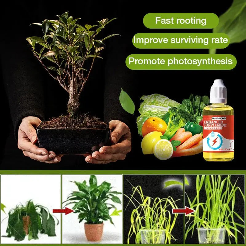 Rynx | Natural growth for your plants – buy 1, secure 1!