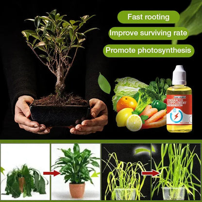 Rynx | Natural growth for your plants – buy 1, secure 1!