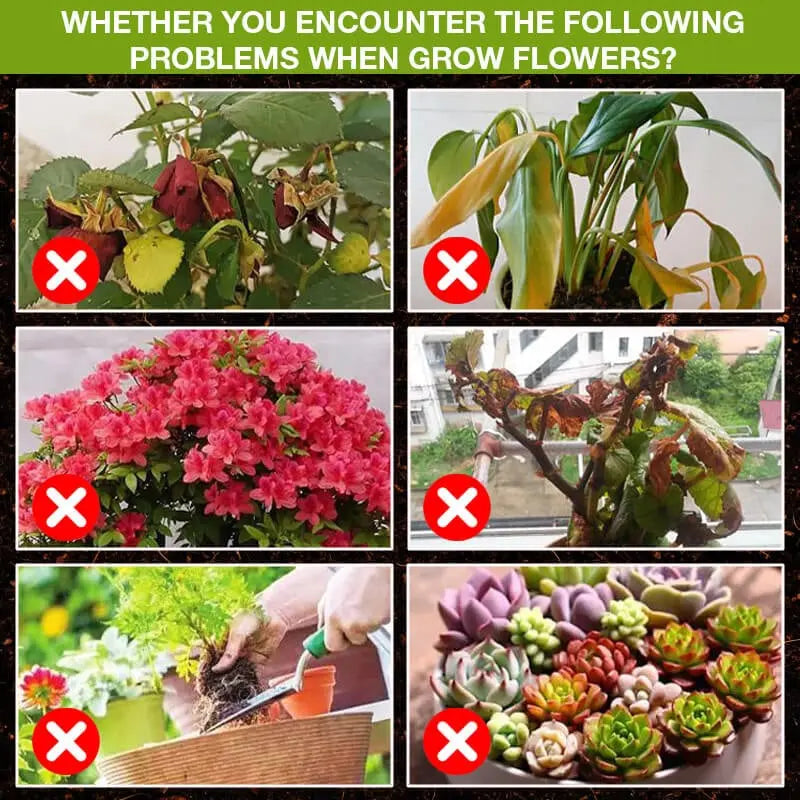 Rynx | Natural growth for your plants – buy 1, secure 1!