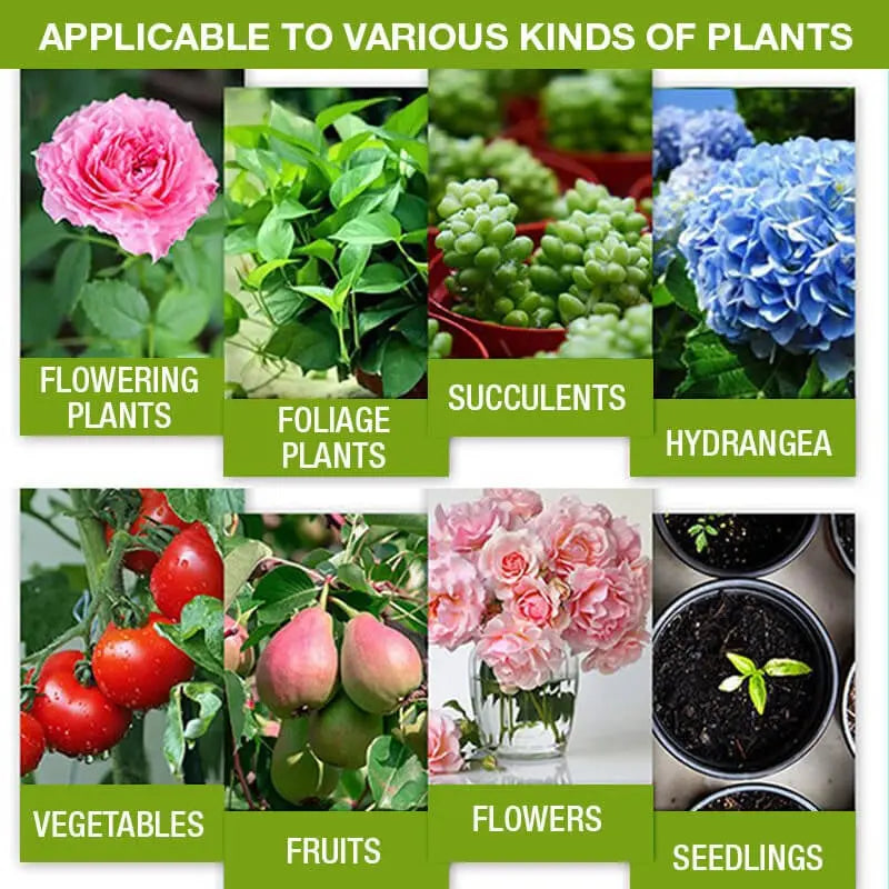 Rynx | Natural growth for your plants – buy 1, secure 1!