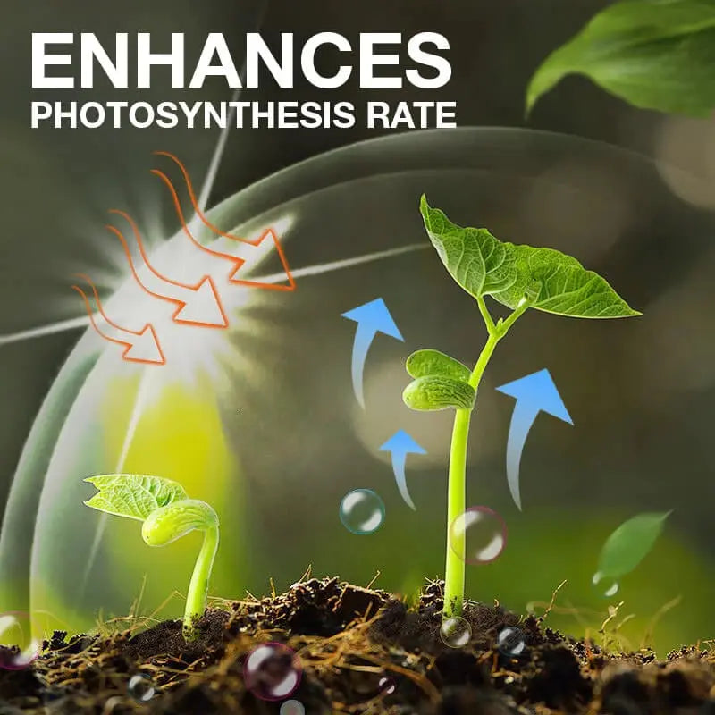 Rynx | Natural growth for your plants – buy 1, secure 1!