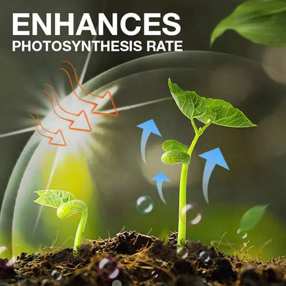 Rynx | Natural growth for your plants – buy 1, secure 1!