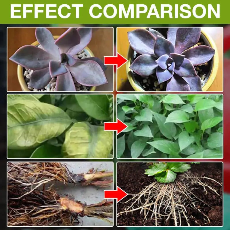 Rynx | Natural growth for your plants – buy 1, secure 1!