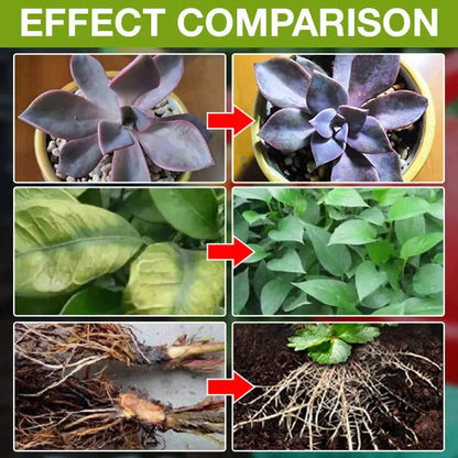 Rynx | Natural growth for your plants – buy 1, secure 1!