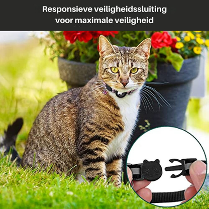 Rynx | Cat collar with safety clasp - Milo