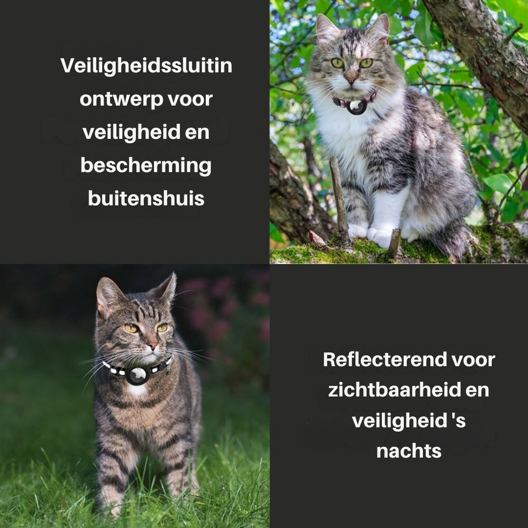 Rynx | Cat collar with safety clasp - Milo