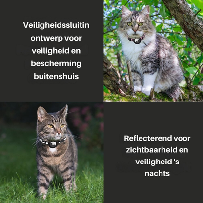 Rynx | Cat collar with safety clasp - Milo