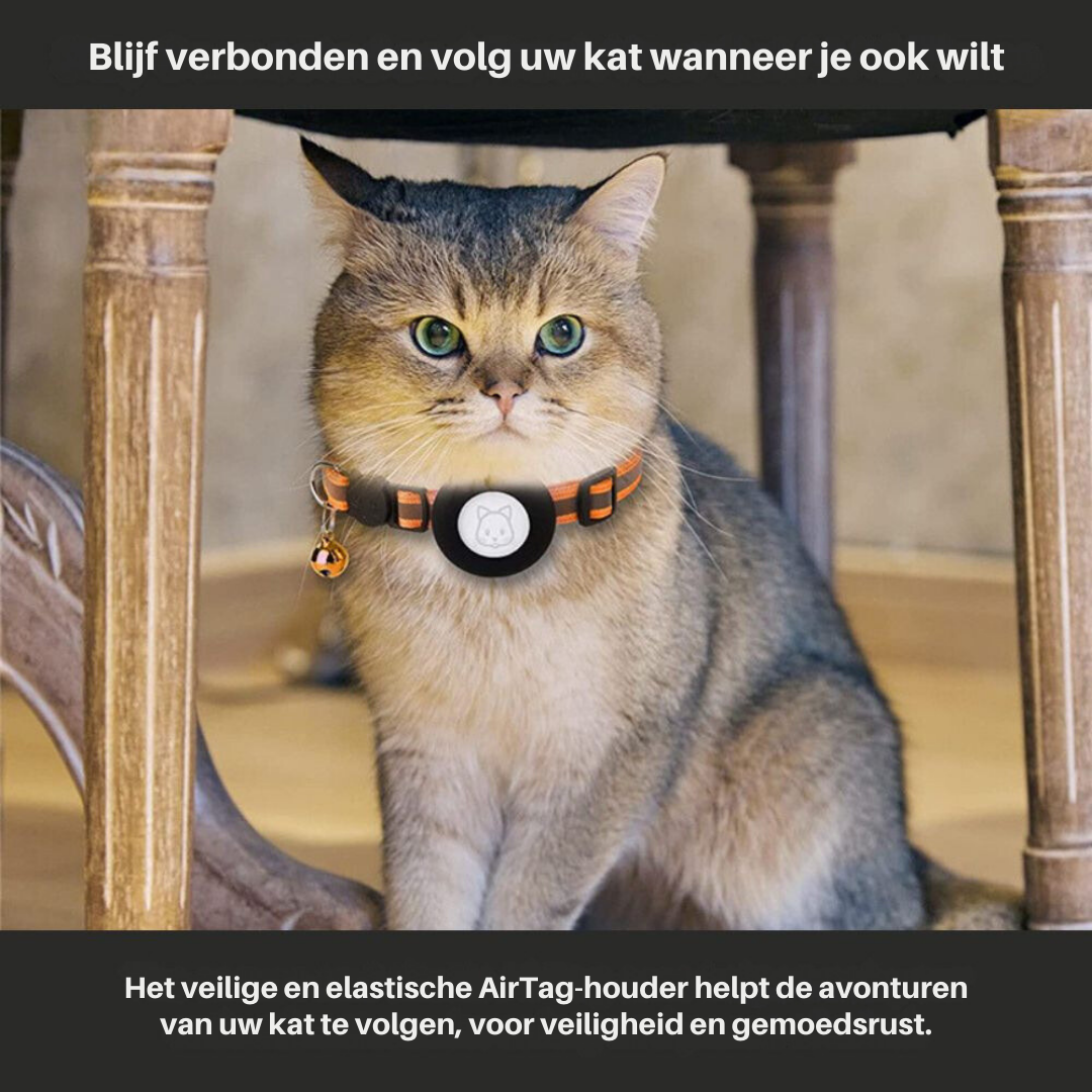 Rynx | Cat collar with safety clasp - Milo