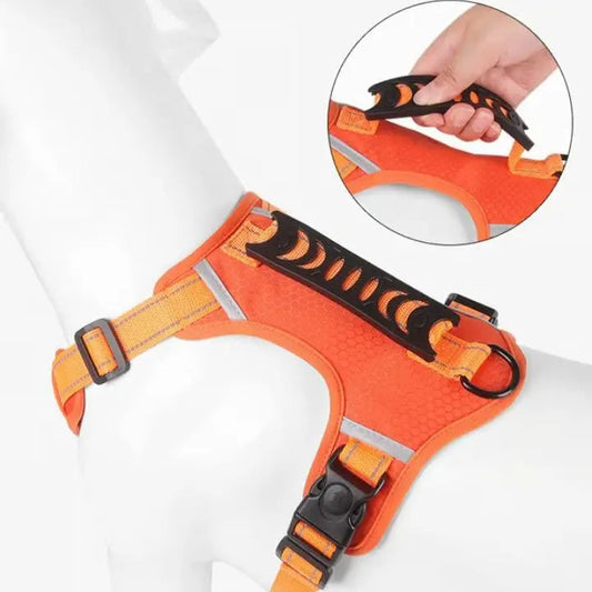Rynx | No-Pull Dog Harness with Reflective Nylon