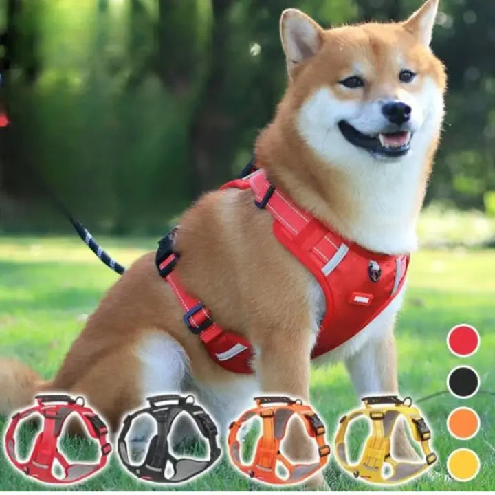 Rynx | No-Pull Dog Harness with Reflective Nylon