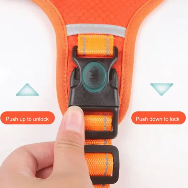 Rynx | No-Pull Dog Harness with Reflective Nylon