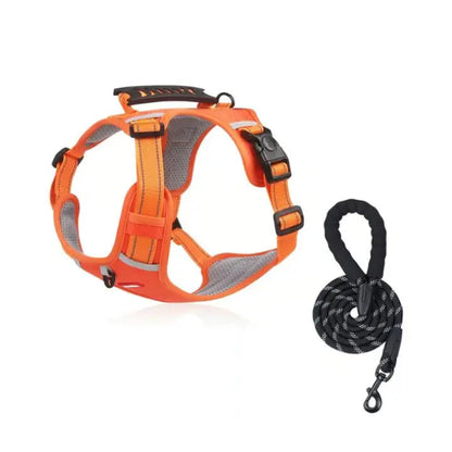 Rynx | No-Pull Dog Harness with Reflective Nylon