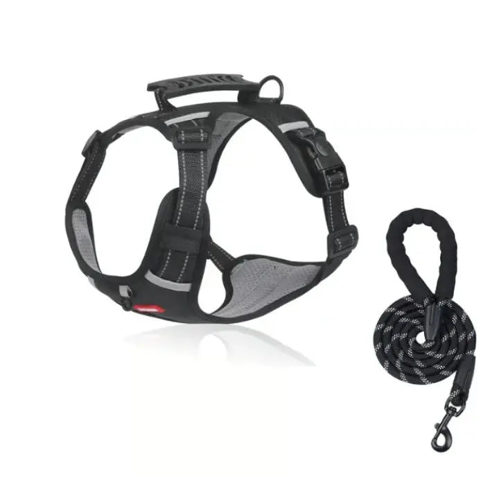Rynx | No-Pull Dog Harness with Reflective Nylon