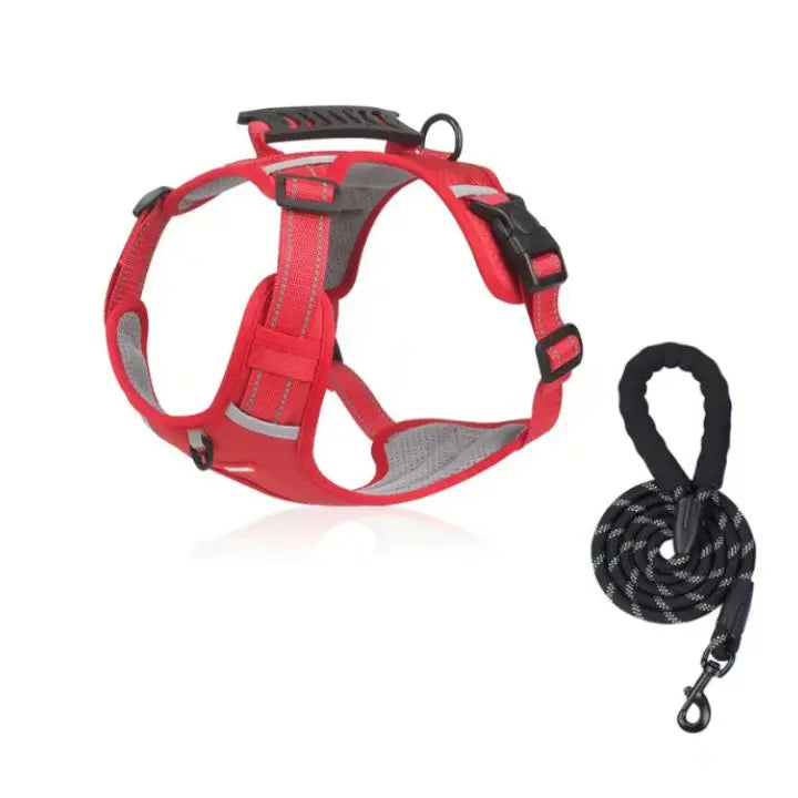 Rynx | No-Pull Dog Harness with Reflective Nylon