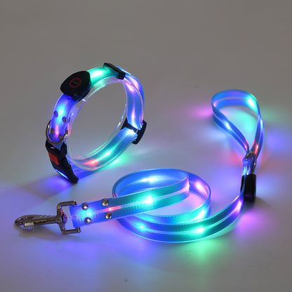 Rynx | Illuminating LED Dog Collar with Leash - NightBright
