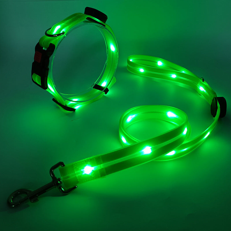 Rynx | Illuminating LED Dog Collar with Leash - NightBright