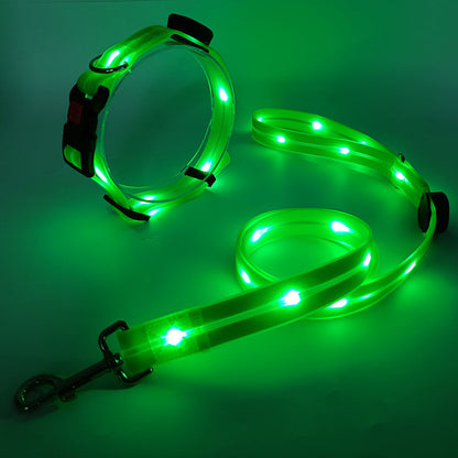 Rynx | Illuminating LED Dog Collar with Leash - NightBright