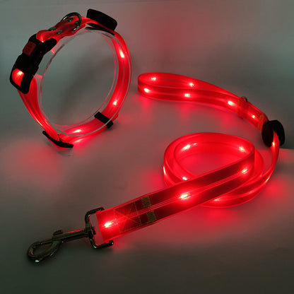 Rynx | Illuminating LED Dog Collar with Leash - NightBright