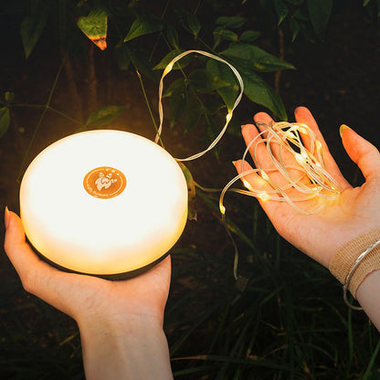 Rynx | Outdoor Waterproof Portable Foldable Fairy Lights 10m