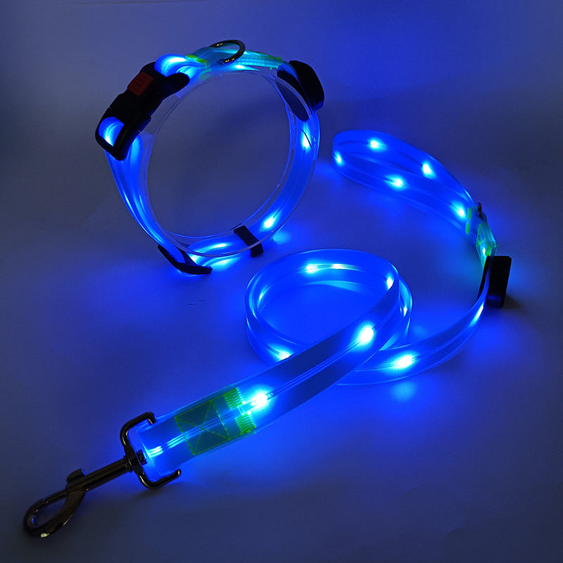 Rynx | Illuminating LED Dog Collar with Leash - NightBright