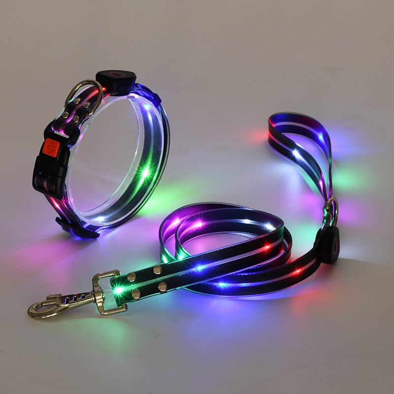 Rynx | Illuminating LED Dog Collar with Leash - NightBright