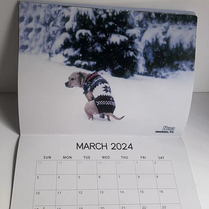 Rynx | 2024 Funniest Calendar-Dogs Pooping In Beautiful Places | "Artistic Expression" Furry Friends