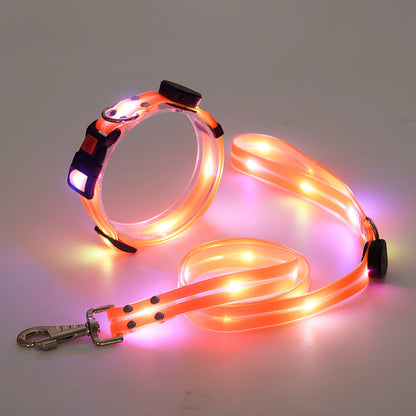 Rynx | Illuminating LED Dog Collar with Leash - NightBright