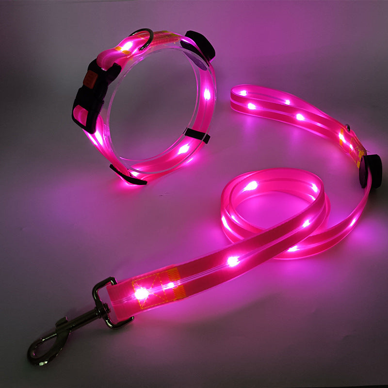 Rynx | Illuminating LED Dog Collar with Leash - NightBright