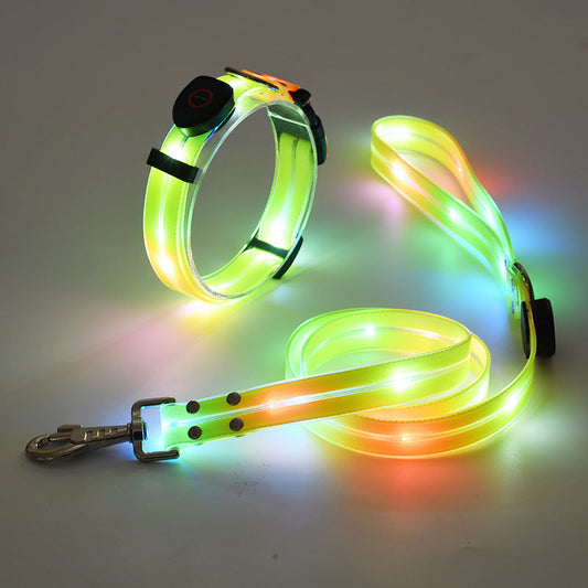 Rynx | Illuminating LED Dog Collar with Leash - NightBright