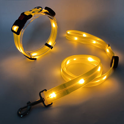 Rynx | Illuminating LED Dog Collar with Leash - NightBright