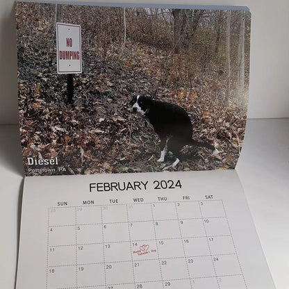 Rynx | 2024 Funniest Calendar-Dogs Pooping In Beautiful Places | "Artistic Expression" Furry Friends
