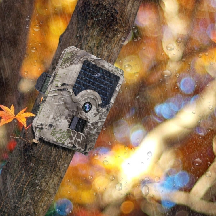 Rynx | PR-200 IP54 Waterproof IR Night Vision Security Hunting Trail Camera, 120 Degree Wide Angle,100 Degree PIR Sensing Angle