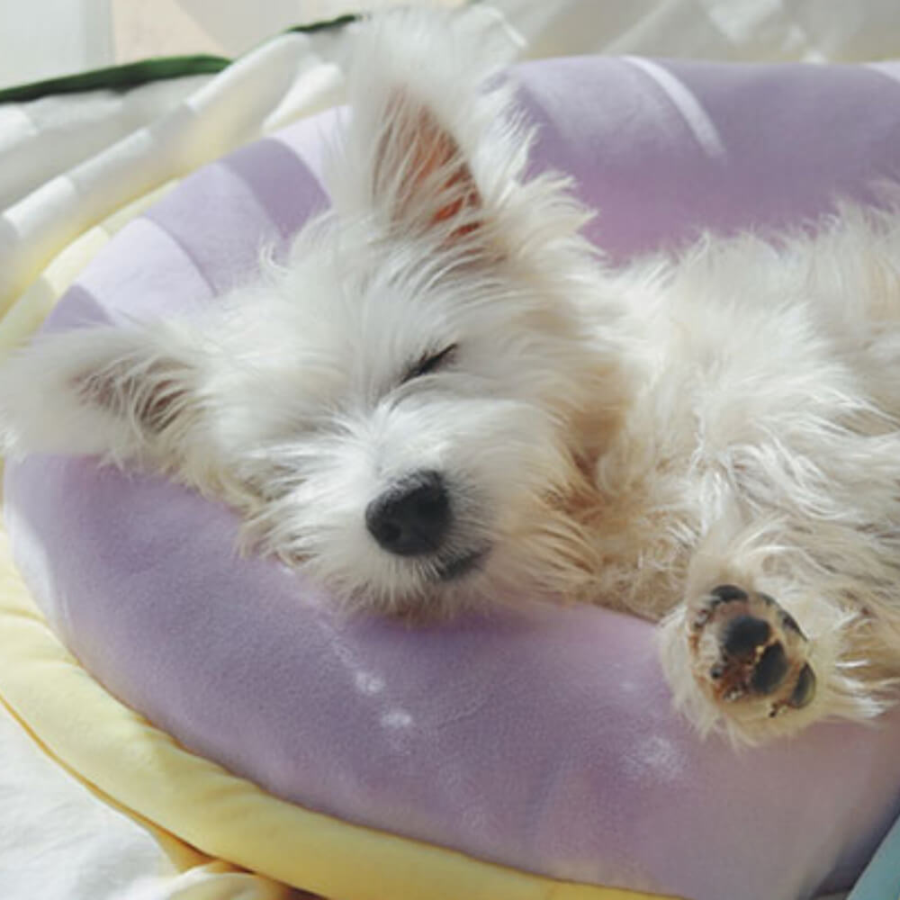 Rynx | Orthopedic Back Support Pillow Dog Sleep Pillow