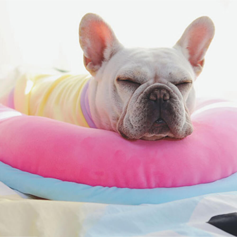 Rynx | Orthopedic Back Support Pillow Dog Sleep Pillow