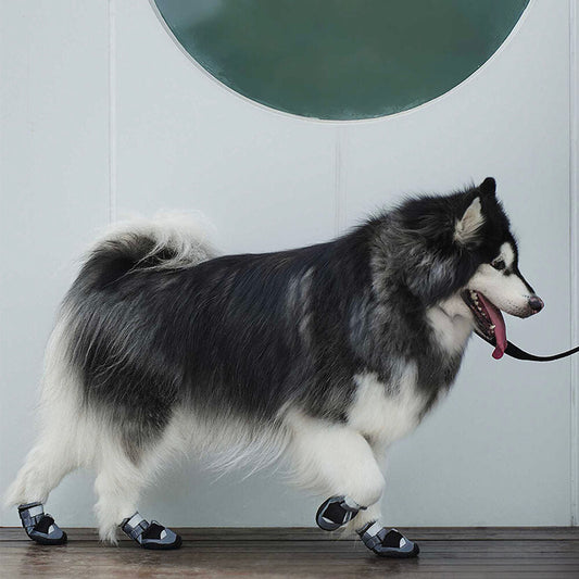 RYNX | Booties Hiking Running Anti-slip Dog Boots