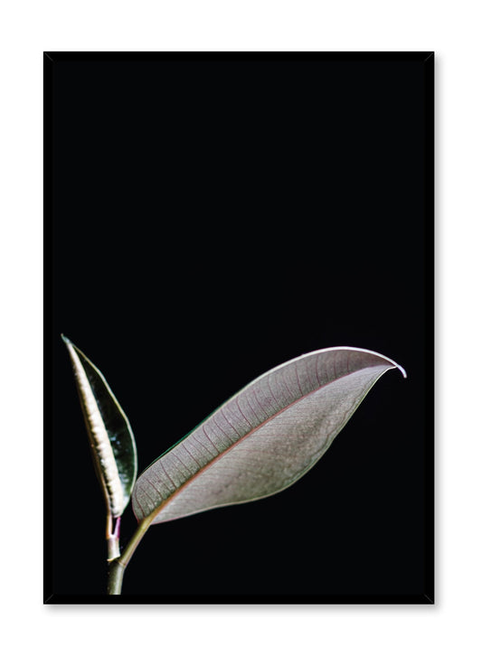 Rynx | Leaf, Poster