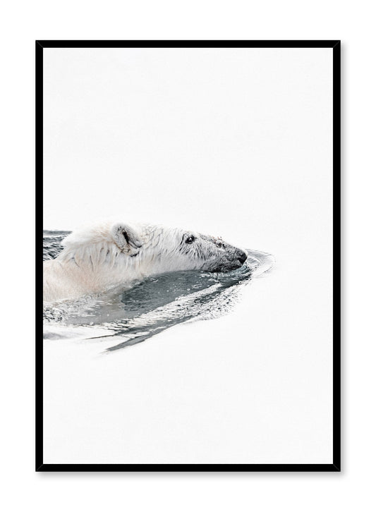 Rynx | Polar Bear, Poster