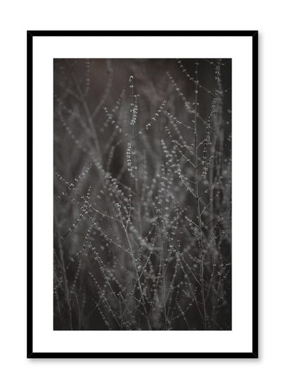 Rynx | Budding Meadow, Poster