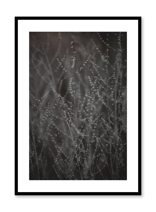 Rynx | Budding Meadow, Poster