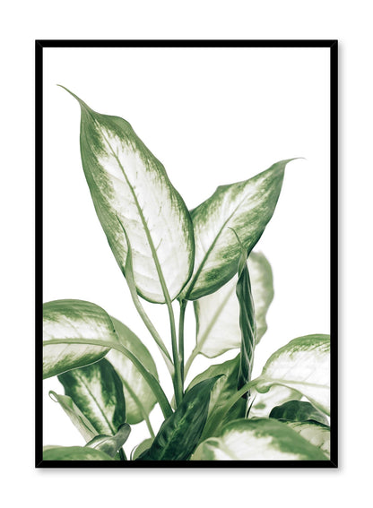 Rynx | Leopard Lily, Poster