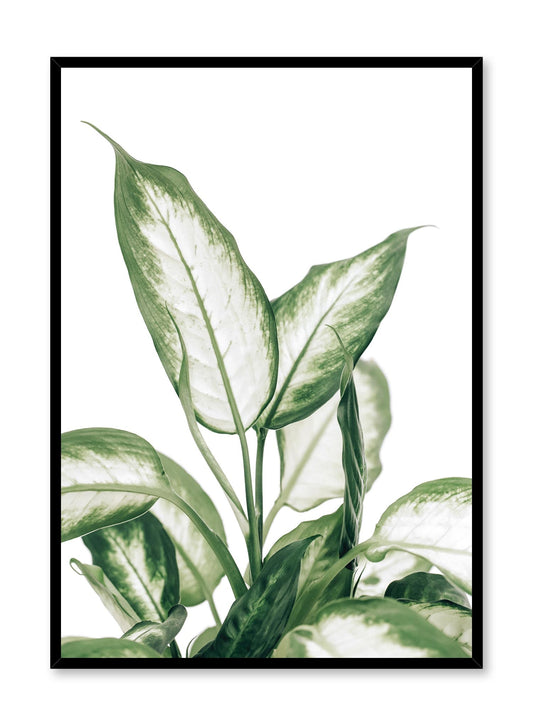 Rynx | Leopard Lily, Poster