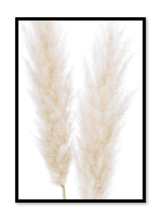 Rynx | Ornamental grasses, Poster