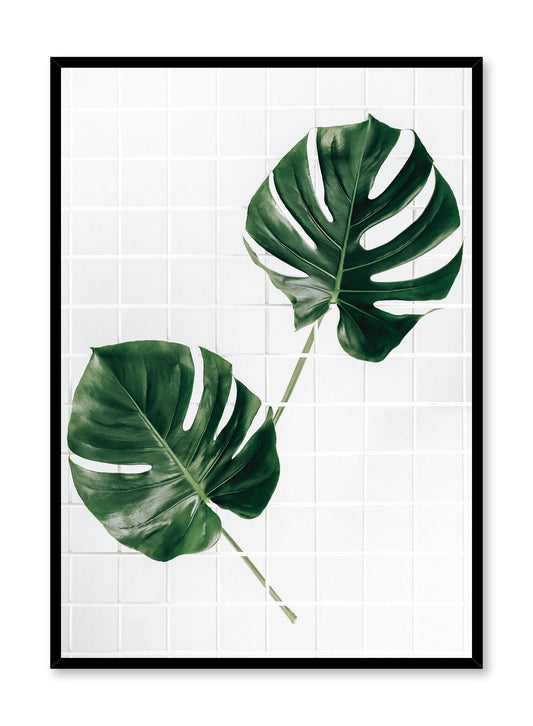 Rynx | Monstera Deliciosa, Poster