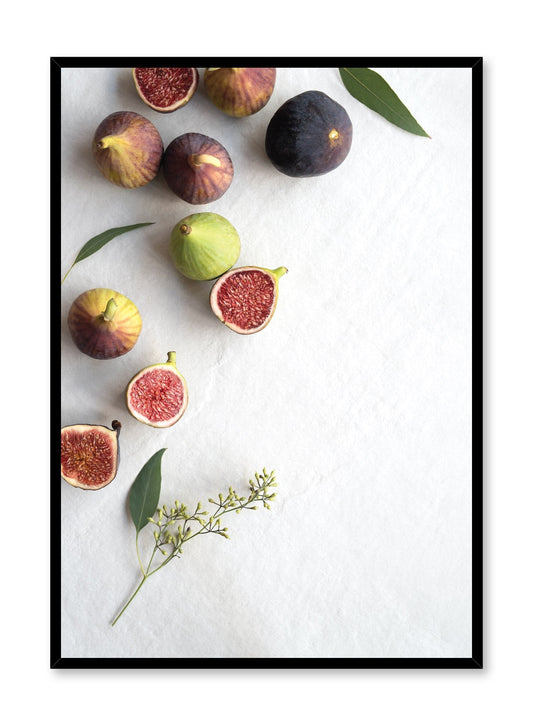 Rynx | Figs, Poster